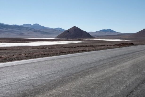 Avances y desafíos de la compra de LPI y el proyecto de litio en Maricunga