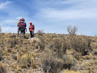 Geoquímica del suelo resalta anomalías del cobre en Polimet