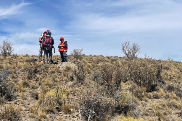 Geoquímica del suelo resalta anomalías del cobre en Polimet