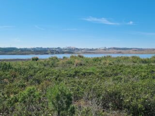 Atalaya Mining publica su informe de Sostenibilidad 2023, rindiendo cuentas del desempeño ambiental, social y de gobernanza de sus operaciones