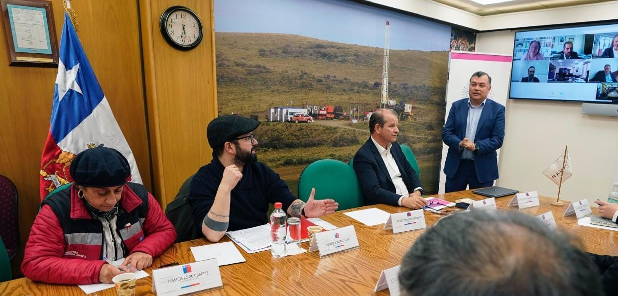 ENAP expone avances de Proyectos de Hidrógeno Verde