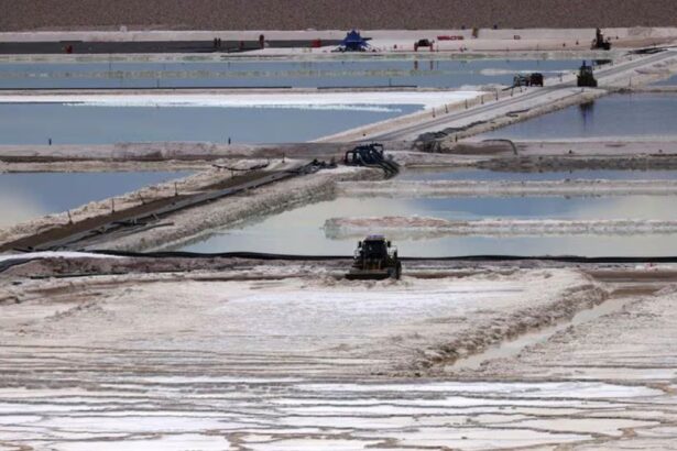 Albemarle pide revisar permisos ambientales en el salar de Atacama