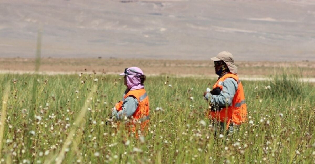 Ausenco: Contribuyendo con el conocimiento a la sostenibilidad en salares de alta sensibilidad ecológica y social Ausenco: Contribuyendo con el conocimiento a la sostenibilidad en salares de alta sensibilidad ecológica y social