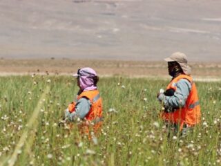 Ausenco: Contribuyendo con el conocimiento a la sostenibilidad en salares de alta sensibilidad ecológica y social