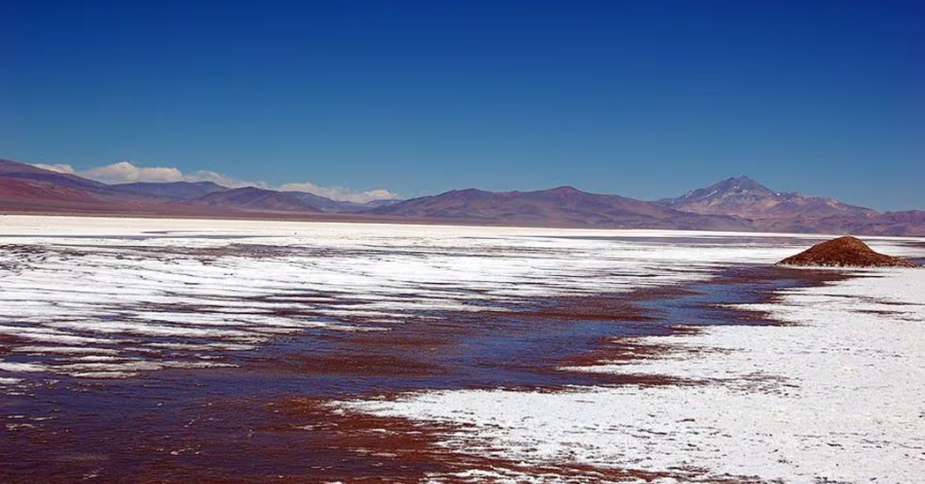 Empresa española está interesada en ser socia en proyecto de litio de Codelco