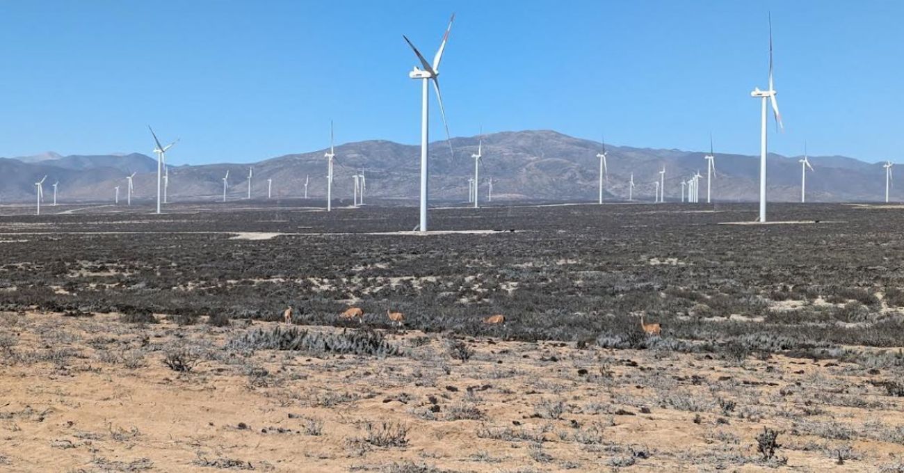 Colbún adquiere Parque Eólico San Juan y Totoral por USD 401 millones