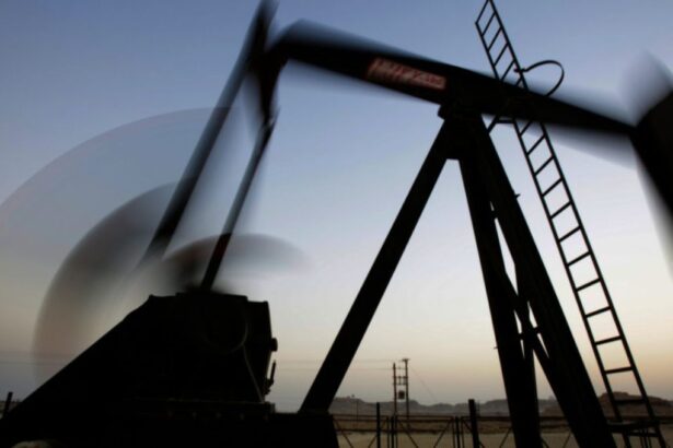 Los precios del petróleo se mantienen estables y se esperan recortes de tasas de interés este año