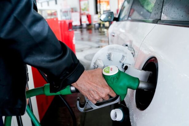 Rusia extiende la exención de la prohibición a las exportaciones de gasolina