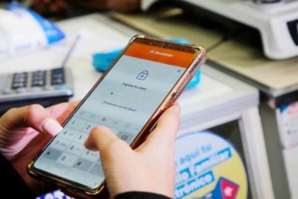 Reactivan el Bolsillo Familiar Electrónico durante el invierno: ¿Quiénes podrían recibirlo?