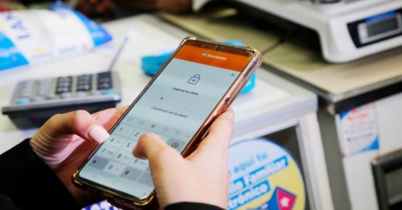 Reactivan el Bolsillo Familiar Electrónico durante el invierno: ¿Quiénes podrían recibirlo?