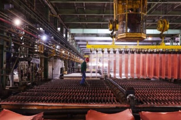 Fondos de cobertura apuestan por ganancias millonarias en el mercado del cobre