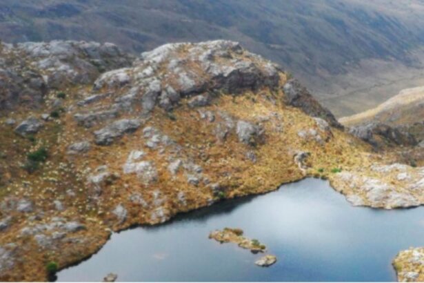 Fallo del Banco Mundial a favor de Colombia en disputa minera.