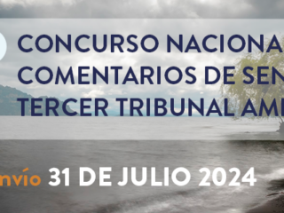 Se abrió postulación para la sexta versión del concurso de comentarios de sentencias