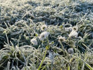Pronostican heladas en siete regiones de Chile la próxima semana.
