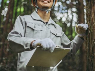 Arauco busca trabajadores: Conoce las vacantes disponibles para postular