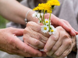 ¿Eres pensionado? Estos son los principales beneficios que puedes recibir