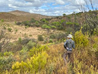 España: Emerita Resources descubre nuevos yacimientos de Gossan ricos en oro y plata en su proyecto Nuevo Tintillo