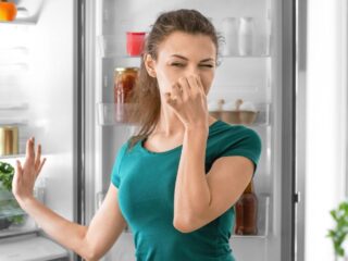 Pérdida de alimentos por cortes de luz: revisa cómo puedes reclamar sin boleta