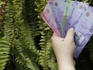 Bono de $214.000 para el 80% del Registro Social de Hogares: consulta con tu RUT si es para ti