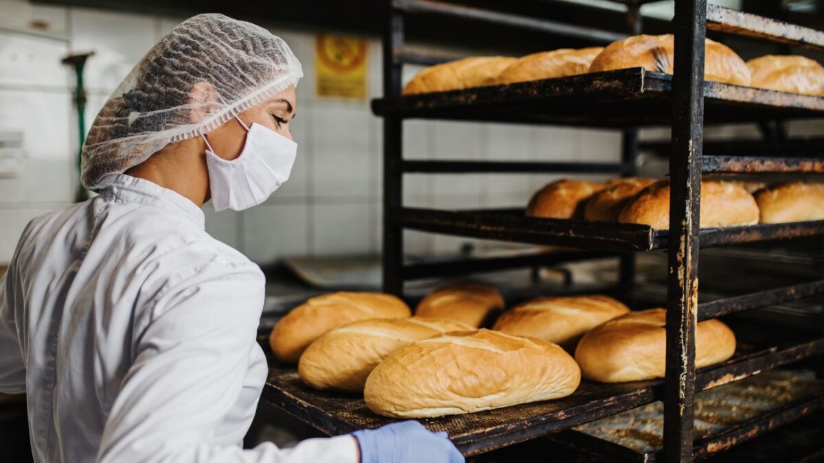 Trabajos en Breden Master: Conoce cuáles son las ofertas laborales y cómo postular a ellas Trabajos en Breden Master: Conoce cuáles son las ofertas laborales y cómo postular a ellas