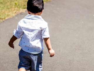 Ley Papito Corazón: revisa la nueva prohibición que podría ser aprobada para deudores de pensiones