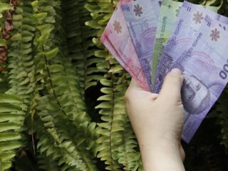 Bono de $214.000 para el 80% del Registro Social de Hogares: consulta con tu RUT si es para ti