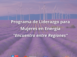Finaliza exitoso programa piloto de mujeres líderes en la transición energética