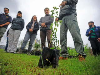 Desafío Levantemos Chile y más de 60 colaboradores de empresas del Consejo Minero reforestaron parte del Jardín Botánico de Viña del Mar