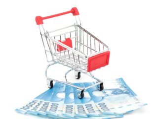 Bolsillo Familiar Electrónico llega a su fin: ¿Qué propone el Gobierno para convertirlo en beneficio permanente?