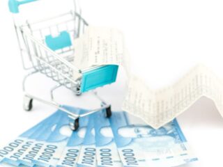 Bolsillo Familiar Electrónico 2024: cuáles son los beneficios alternativos que podrían reemplazarlo