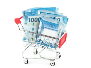 Bolsillo Familiar Electrónico 2024: cuáles son los beneficios alternativos que podrían reemplazarlo