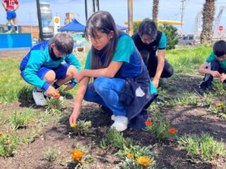 Tocopilla renueva sus espacios verdes con Fondo Ambiental de Minera El Abra