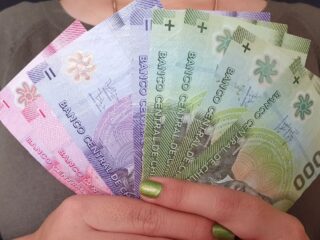 Bolsillo Familiar Electrónico: Así es la propuesta para que regresen sus pagos