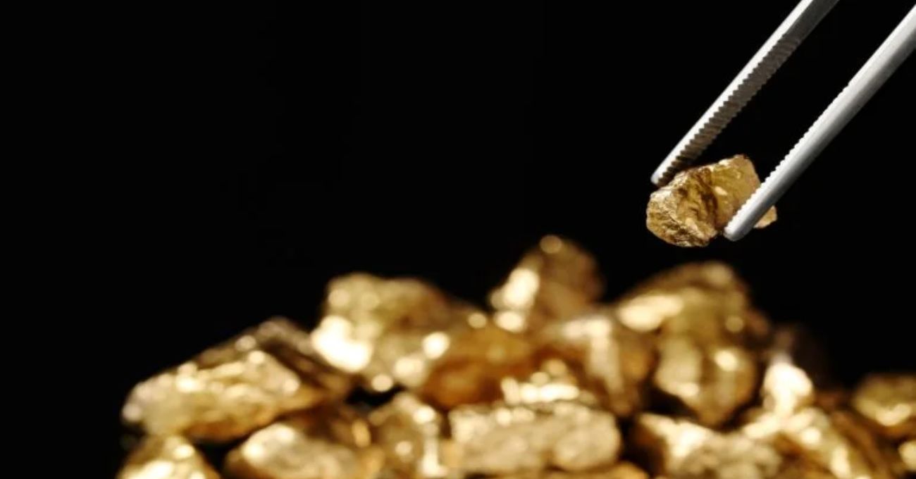 Native Mineral Resources (NMR) adquiere proyectos auríferos: nuevo potencial de producción de oro