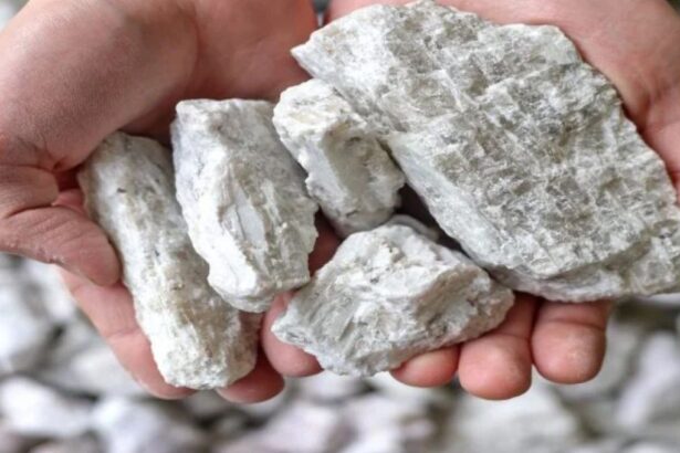 Rapid Lithium adquiere New Energy: Paso clave para exploración de litio en EE. UU