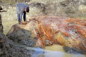 Globex Mining revela descubrimientos reveladores en operaciones mineras de Quebec