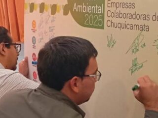 Codelco y empresas colaboradoras destacan en gestión ambiental en Chile