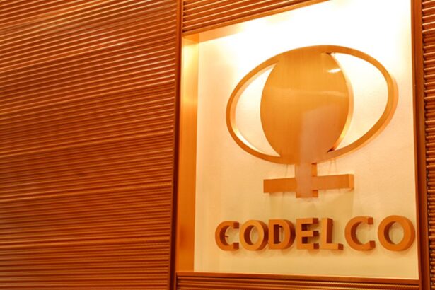 Las alternativas de Codelco para financiar plan de inversiones a 2033 por US$ 35 mil millones
