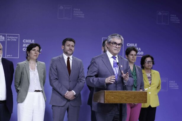 Inversiones sostenibles: claves del Gabinete Pro Crecimiento y Empleo en 2025