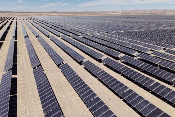 Metlen Energy & Metals lanza proyectos Tocopilla y Tamarico en Chile para impulsar la sostenibilidad y la economía verde