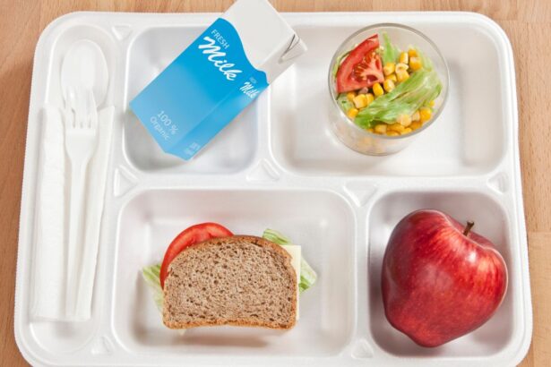 Revolución en la Nutrición Escolar: Junaeb Invertirá 1,2 Billones en Programas de Alimentación para 2025