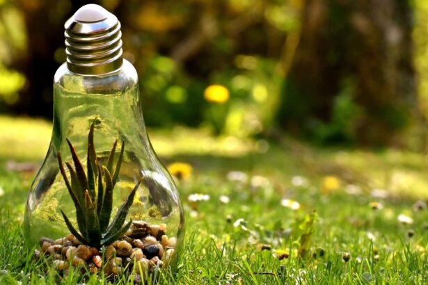 Impacto de la Permisoología Ambiental en la Economía Chilena: Un Reto para el Crecimiento Sostenible