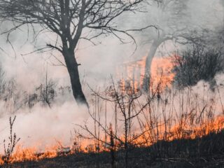 Conaf y Codelco unen fuerzas usando IA y cámaras HD para prevenir incendios forestales en O’Higgins y Metropolitana