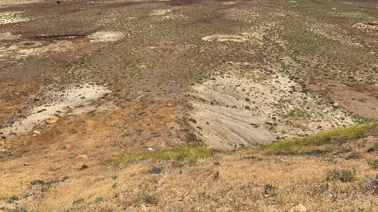 Proyecto "Prospección Minera San Pietro" avanza: SEA aprueba Declaración de Impacto Ambiental para exploración de $15 millones