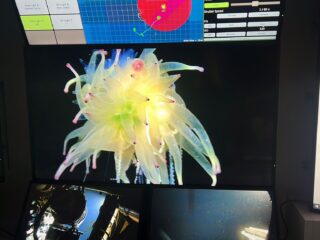 Sernageomin integra expedición científica que descubre volcanes submarinos en la región de Aysén