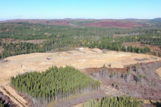 Puma Exploration: logros y planes 2024-2025 en sector minero