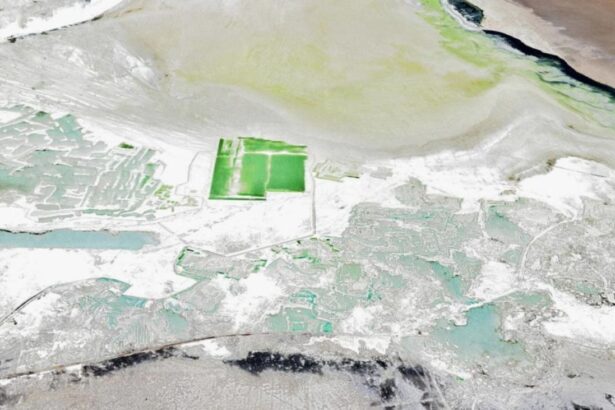 Tribunal Ambiental de Chile extiende medidas cautelares en Salar de Surire para proteger biodiversidad hasta 2025