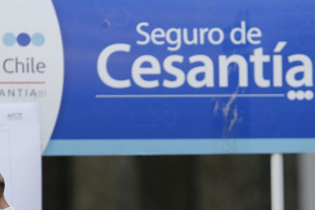 Guía Completa para Acceder al Seguro de Cesantía: Requisitos y Opciones de Cobro en 2025