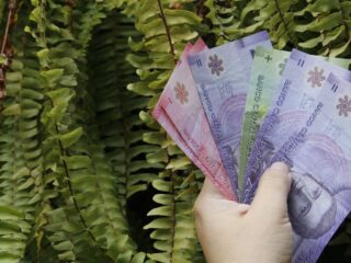 Aumento en la Pensión Garantizada Universal: Nuevos Beneficios y Montos para 2025