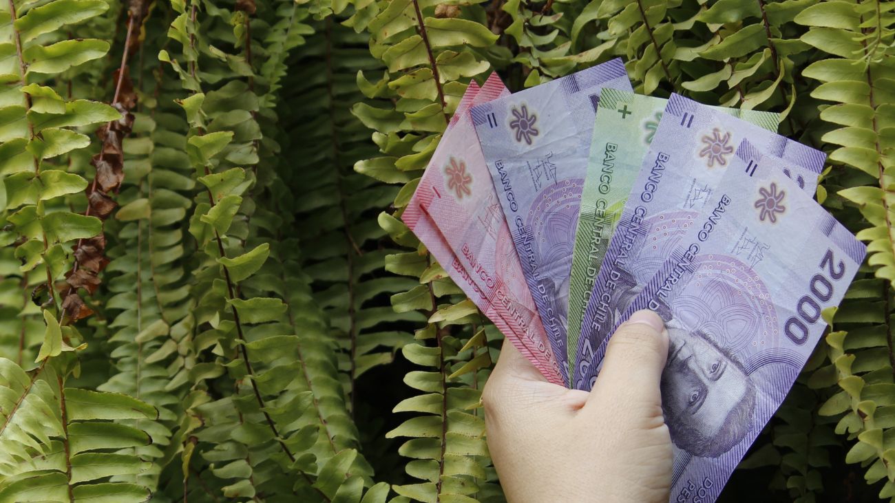 Aumento en la Pensión Garantizada Universal: Nuevos Beneficios y Montos para 2025